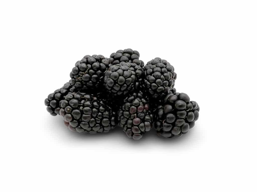 are blackberries good for kidney disease