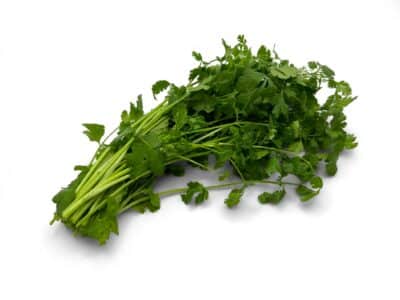 is cilantro good for kidneys