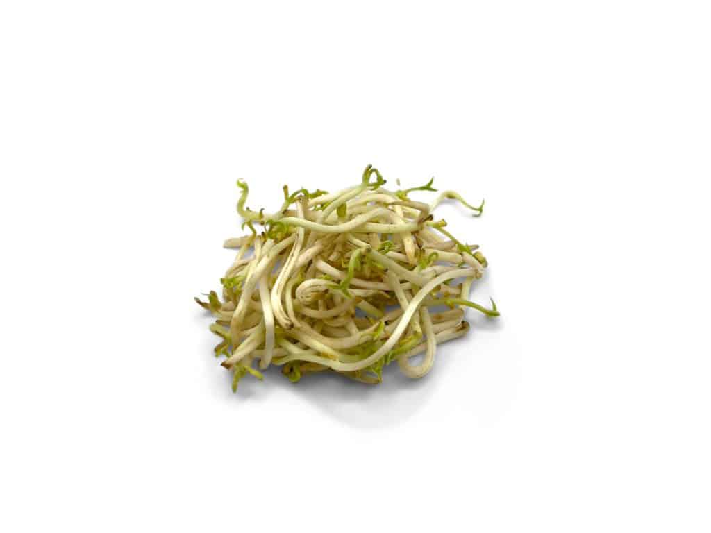 Are soy sprouts good for kidneys?