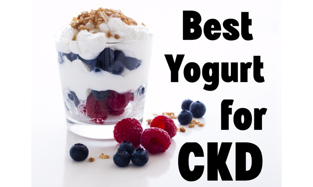best yogurt for kidney disease