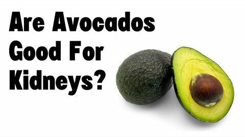 Are Avocados Good for Kidneys?