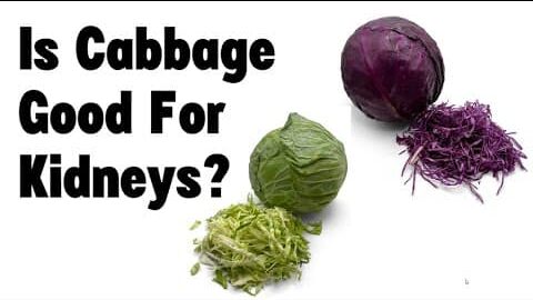 Is Cabbage Good For Kidneys