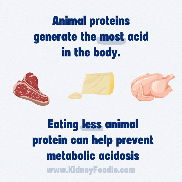 Animal protein generates the most acid in the body